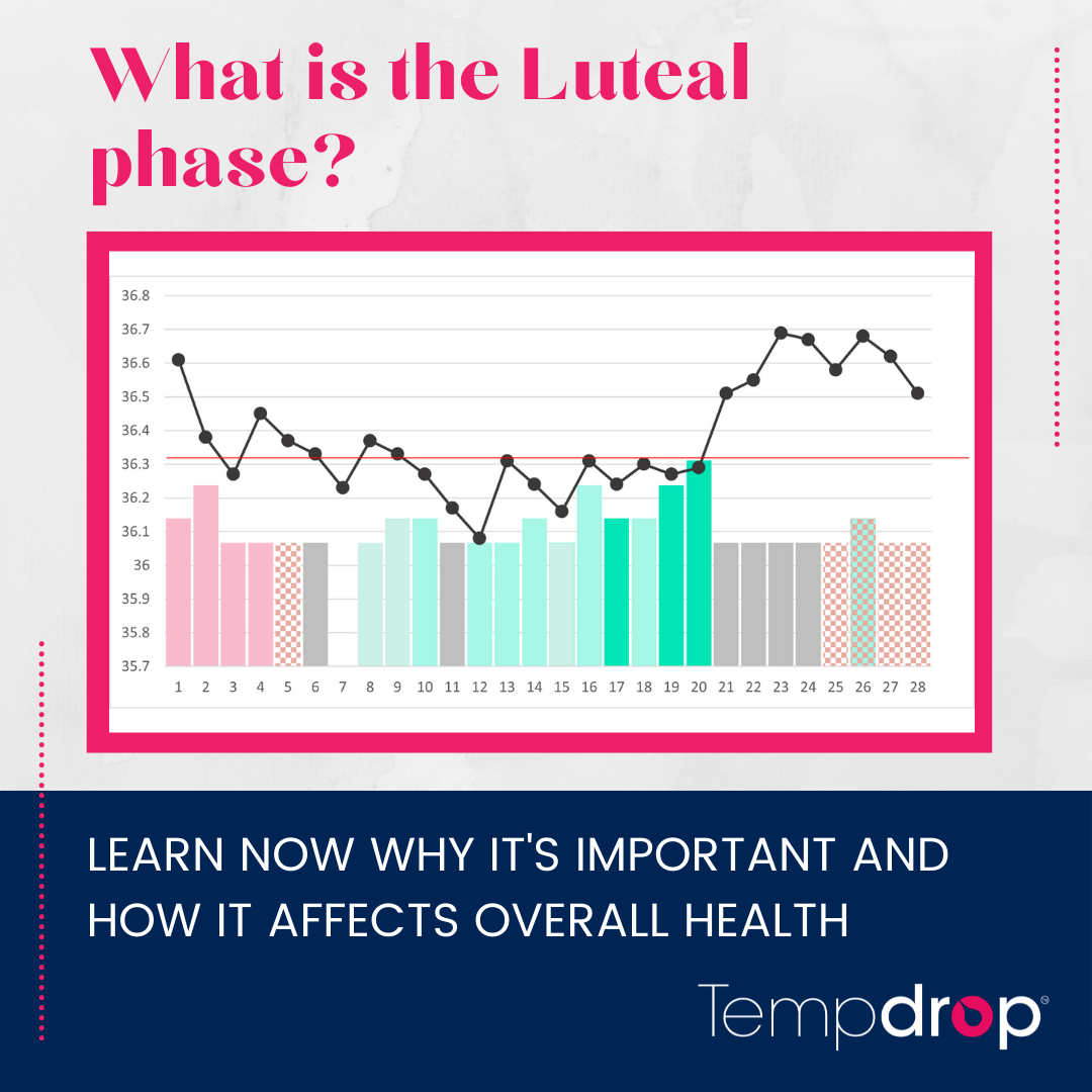 What is the luteal phase? Learn now why it's important and how it affe