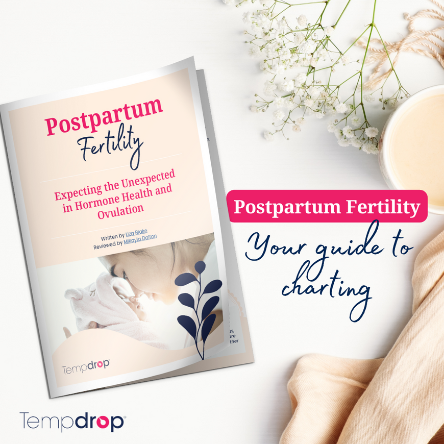PostPartum Fertility Guide: Expecting the Unexpected