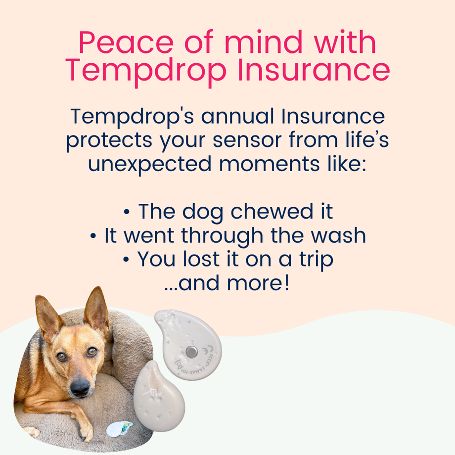 Tempdrop Insurance