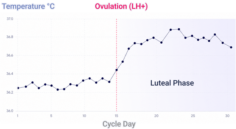 Compared with LH ovulation testing as a reference method