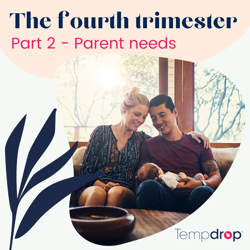 The Fourth Trimester: Parental Needs