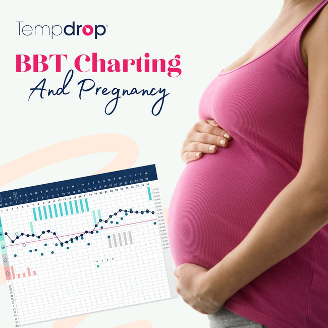 The connection between BBT Charting and pregnancy