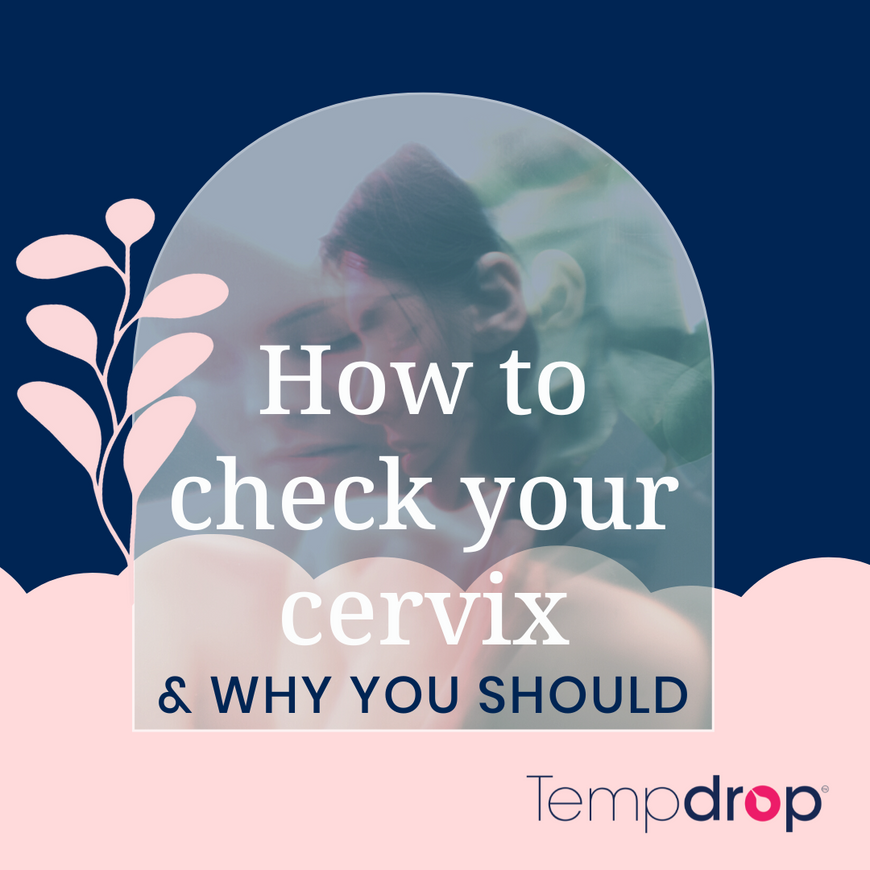 How To Check Your Cervix & Why You Should