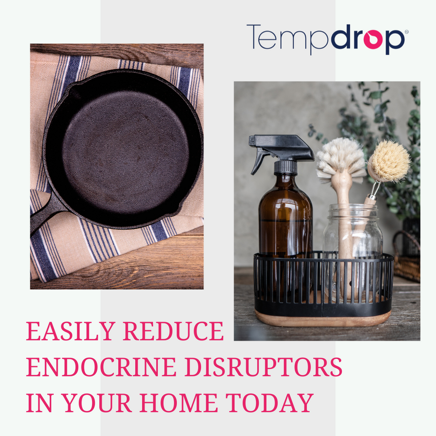 4 ways to easily reduce endocrine disruptors in your home today