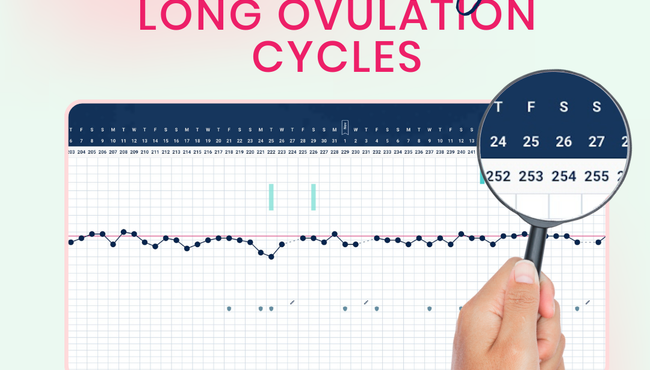 How to Manage Long Ovulation Cycles