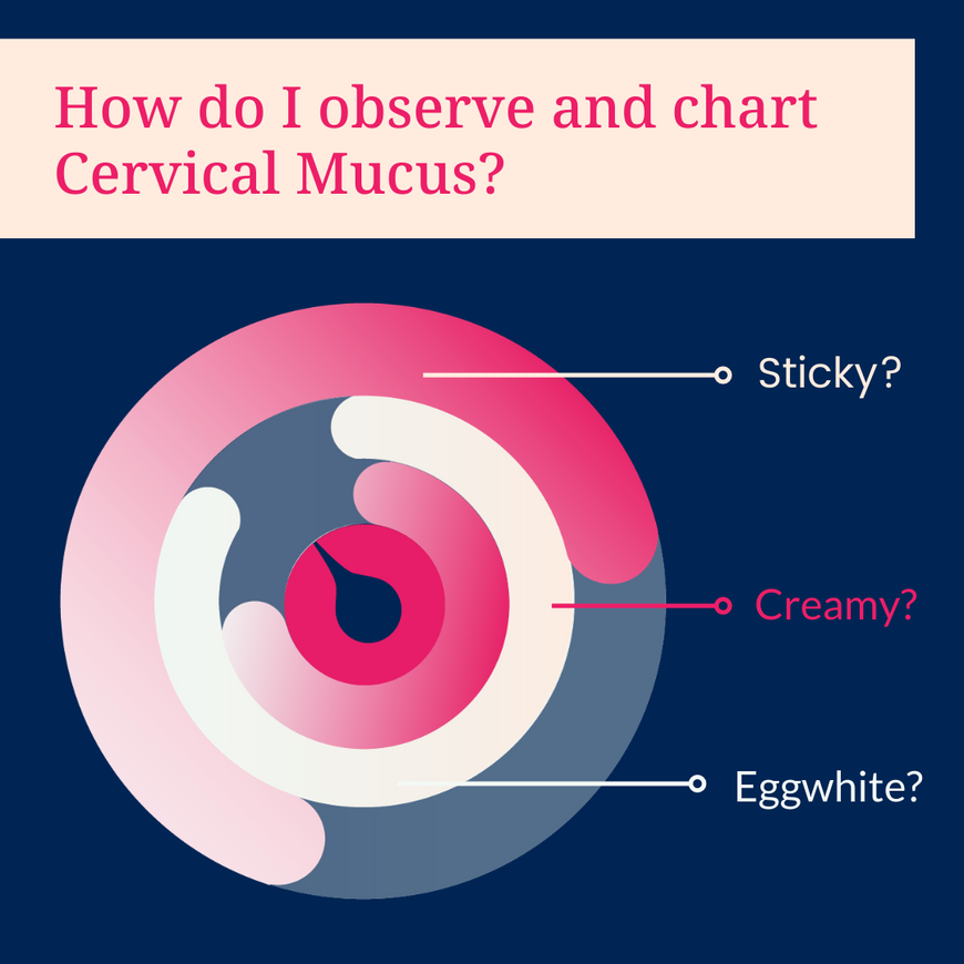 Advanced Fertility Care - How cervical mucus changes throughout