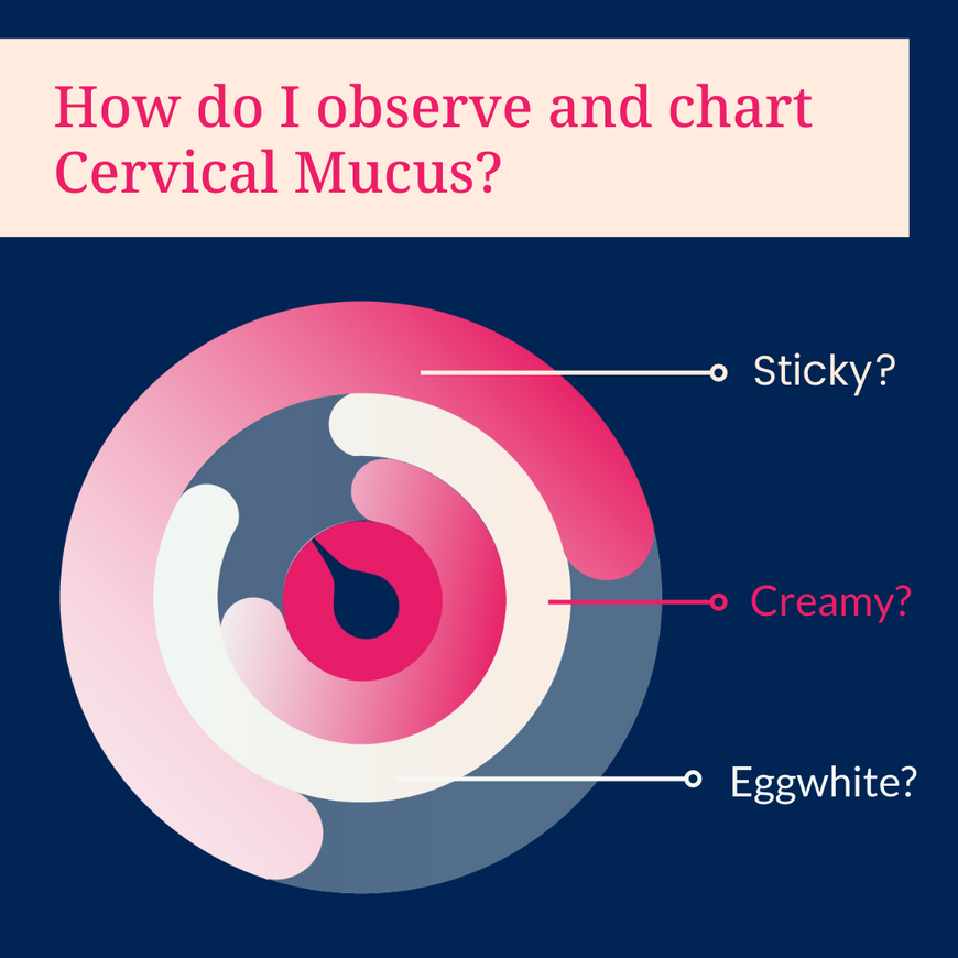 How Do I Observe and Chart Cervical Mucus?