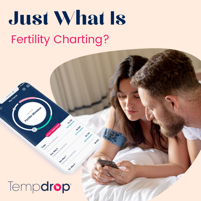 Just What is Fertility Charting?