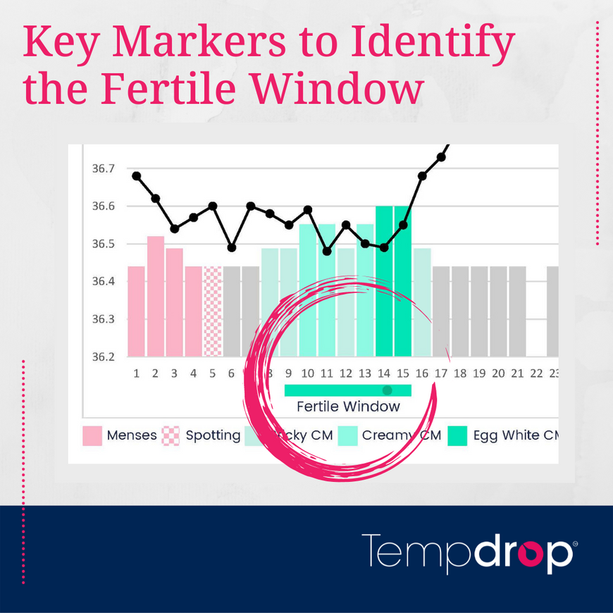 Key Markers to Identify the Fertile Window