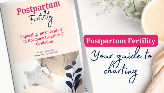 PostPartum Fertility: Expecting the Unexpected