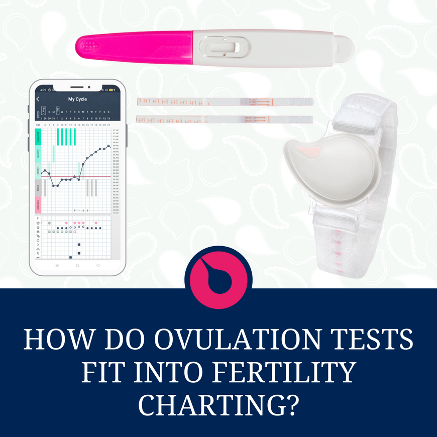 How Do Ovulation Tests Fit Into Fertility Charting?