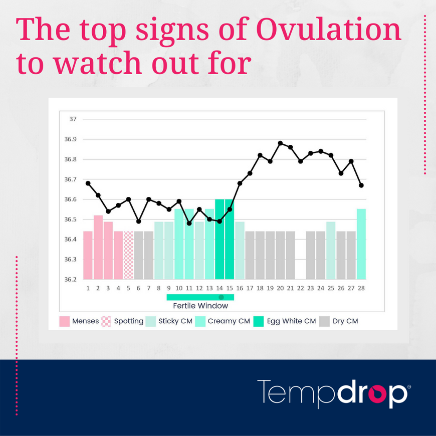 The top signs of ovulation to watch out for