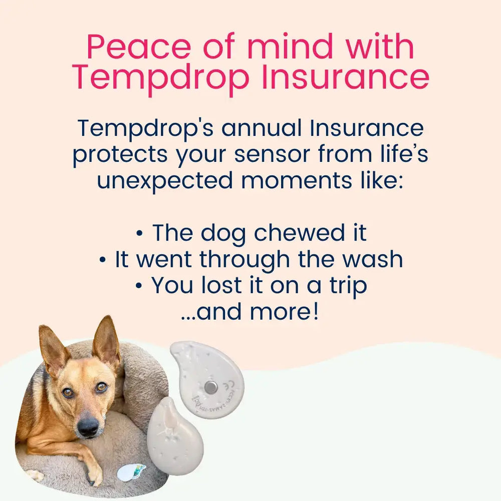 Tempdrop Insurance