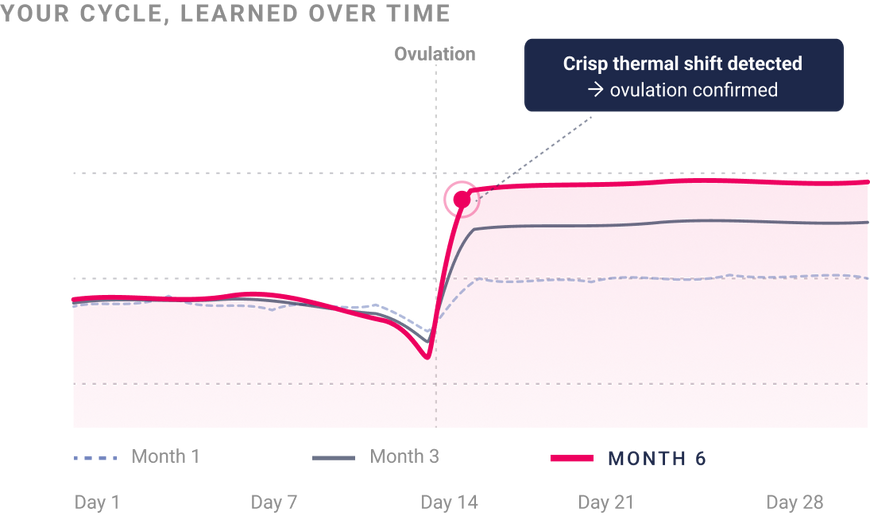 Adaptive Learning Algorithm